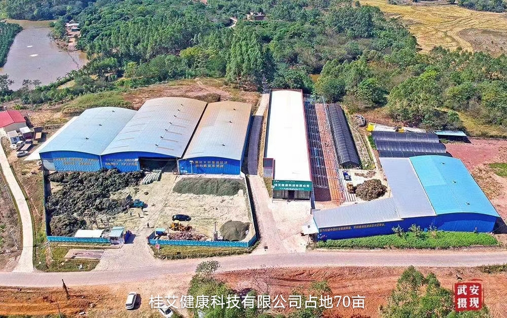 桂艾健康科技