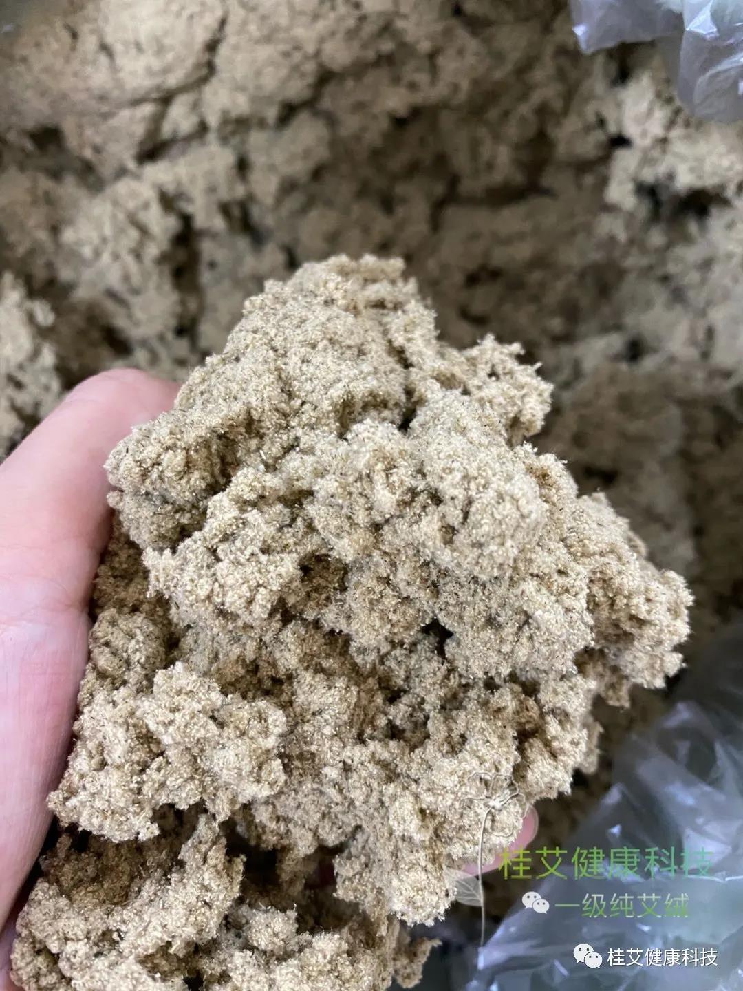 桂艾健康科技