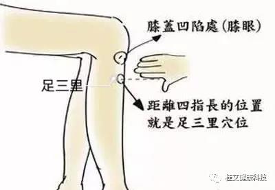 桂艾健康科技