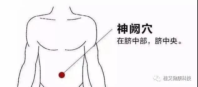 桂艾健康科技