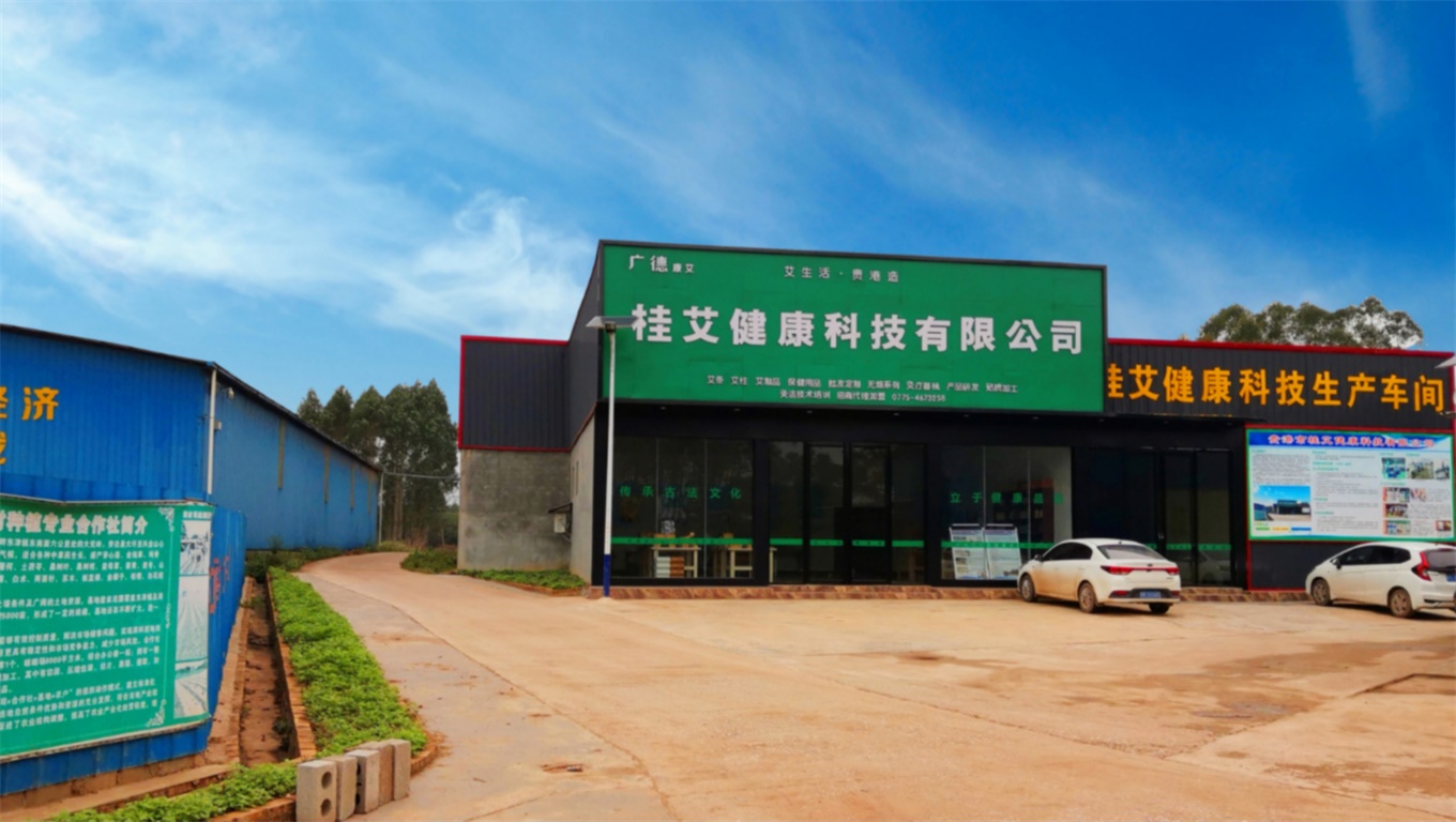 桂艾健康科技
